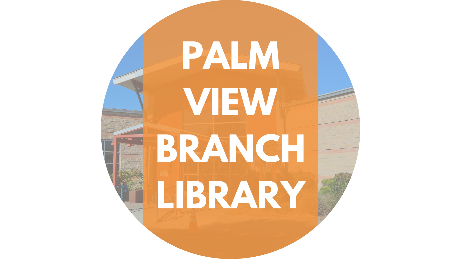 Palm View Branch Image