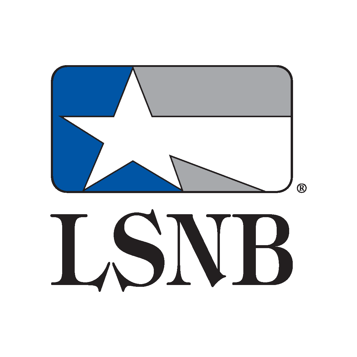 LSNB Logo