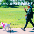 2025 Pet Walk at the Park